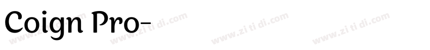 Coign Pro字体转换